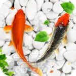 Logo of Koi Fish Live Wallpapers HD android Application 