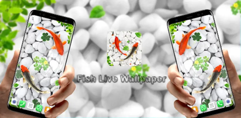 Koi Fish Live Wallpapers HD android App screenshot 0