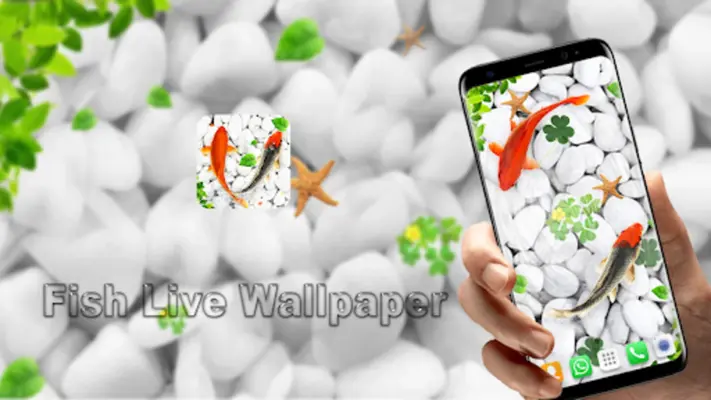 Koi Fish Live Wallpapers HD android App screenshot 1