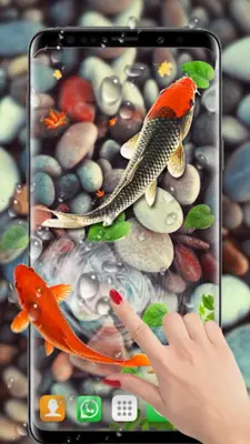 Koi Fish Live Wallpapers HD android App screenshot 2