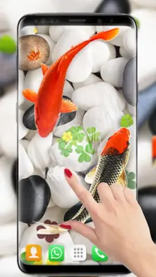 Koi Fish Live Wallpapers HD android App screenshot 3