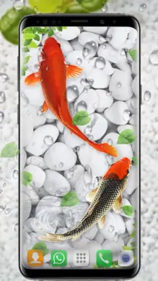 Koi Fish Live Wallpapers HD android App screenshot 4